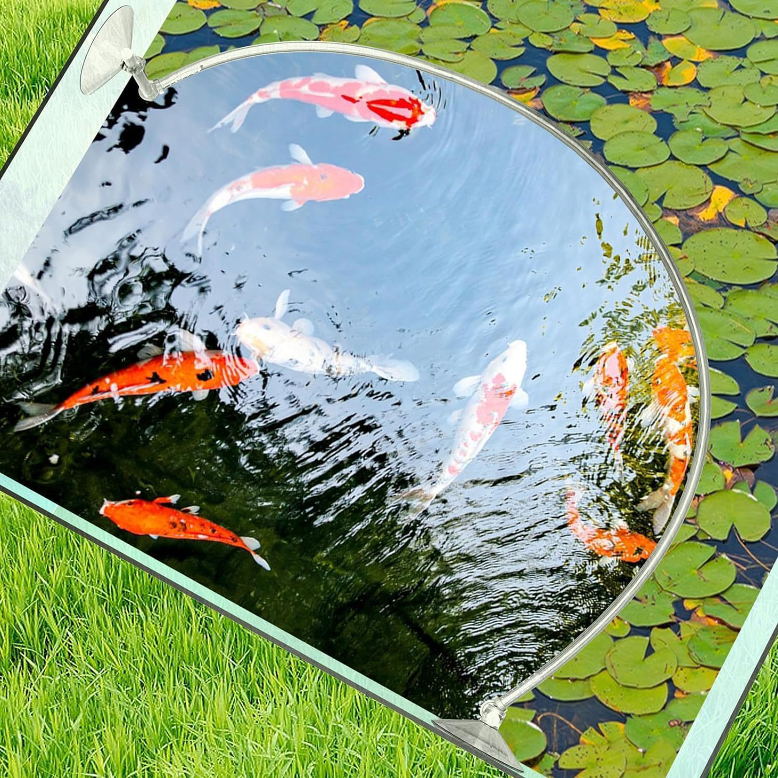 Aquarium Floating Plant Fence  - Home Improvement Fence 评论和价格