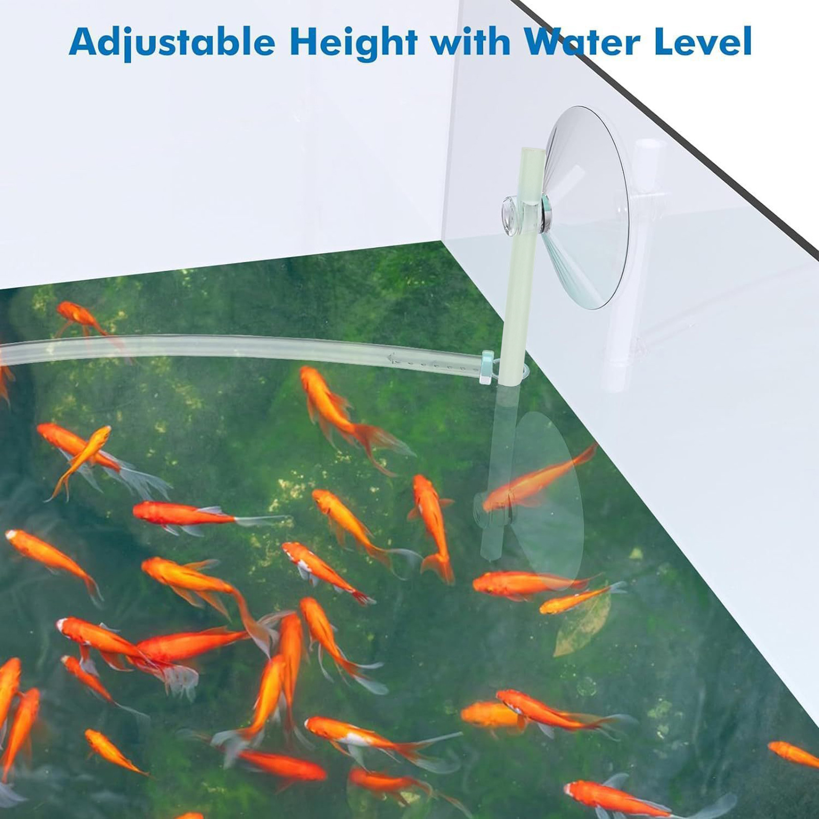 Floating Plant Fence for Fish  - Home Improvement Fence 评论和价格